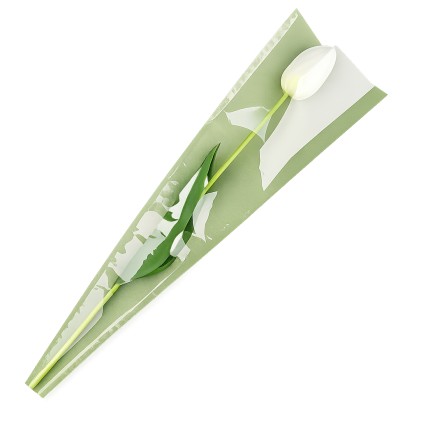 Funda plástica flor verde